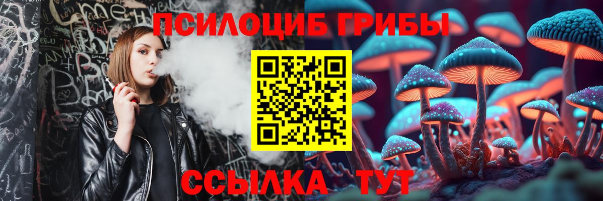 Псилоцибиновые грибы Psilocybe  Вход с VPN  Кинель 