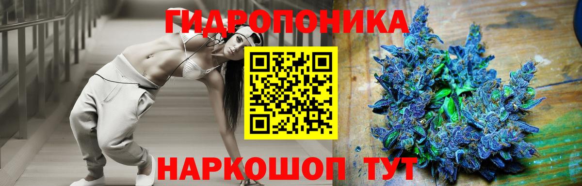 Шишки марихуана Amnesia  Бошки марихуана конопля  Кинель  Вход с VPN 